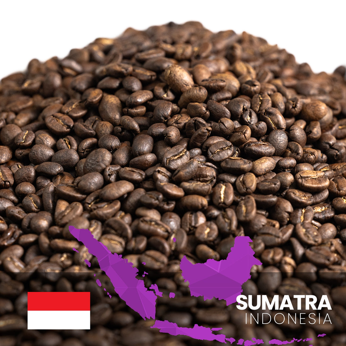 Sumatra Harimau Tiger