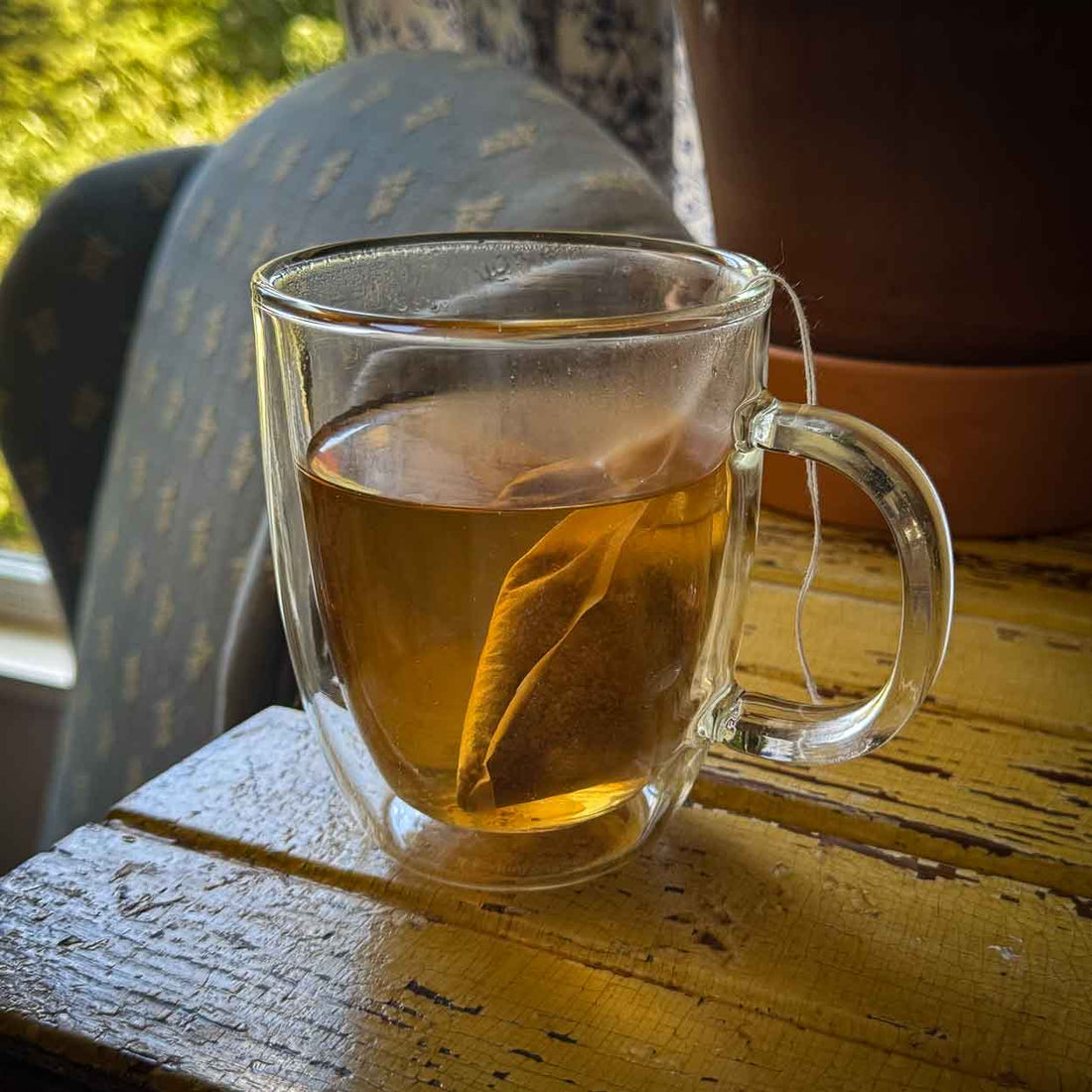 Cascara - Coffee Cherry Tea