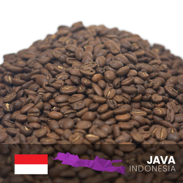 Java Sunda Badak